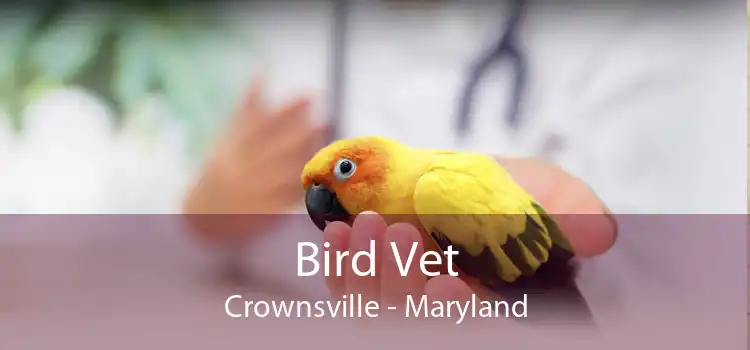 Bird Vet Crownsville - Maryland