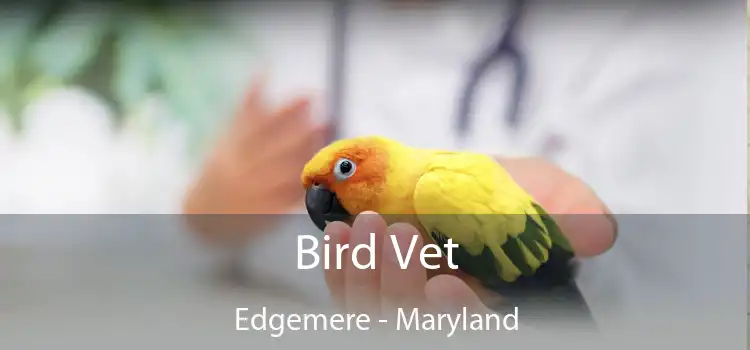 Bird Vet Edgemere - Maryland