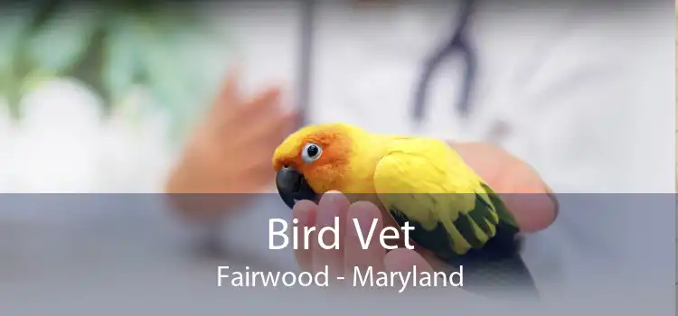 Bird Vet Fairwood - Maryland