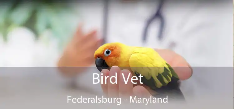 Bird Vet Federalsburg - Maryland