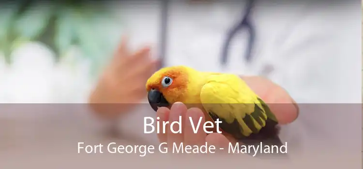 Bird Vet Fort George G Meade - Maryland