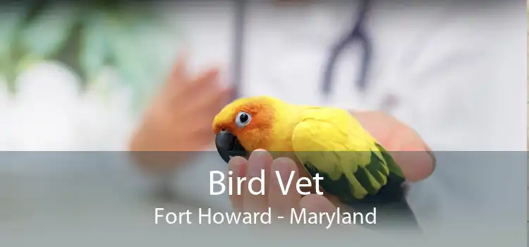 Bird Vet Fort Howard - Maryland