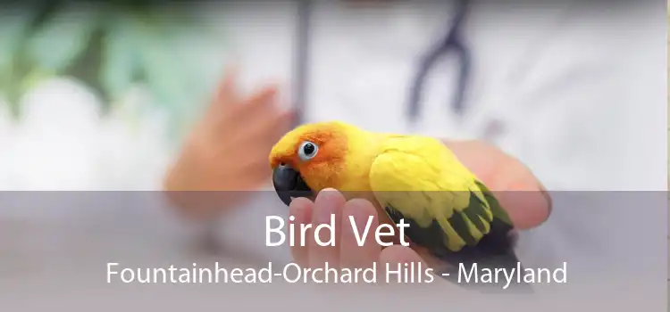 Bird Vet Fountainhead-Orchard Hills - Maryland