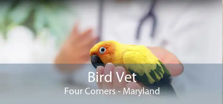 Bird Vet Four Corners - Maryland