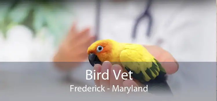 Bird Vet Frederick - Maryland
