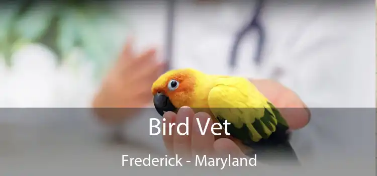 Bird Vet Frederick - Maryland