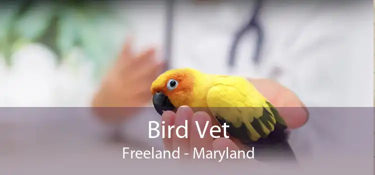 Bird Vet Freeland - Maryland