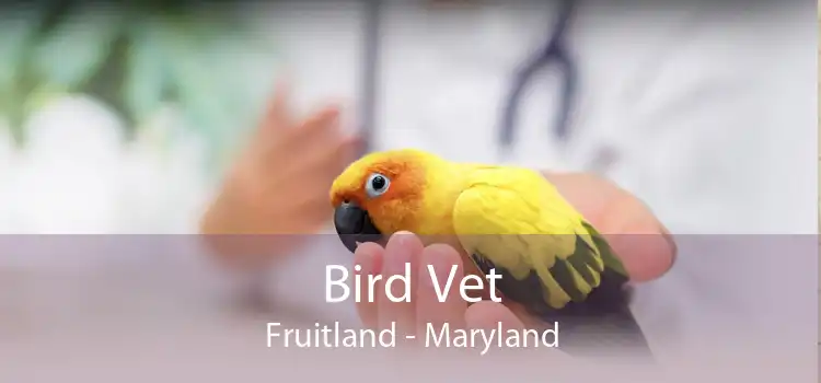 Bird Vet Fruitland - Maryland