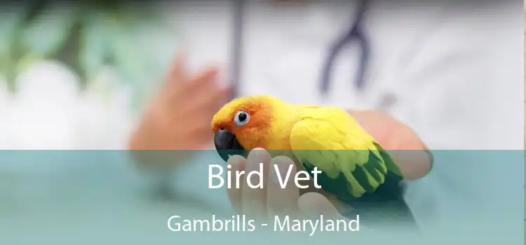 Bird Vet Gambrills - Maryland