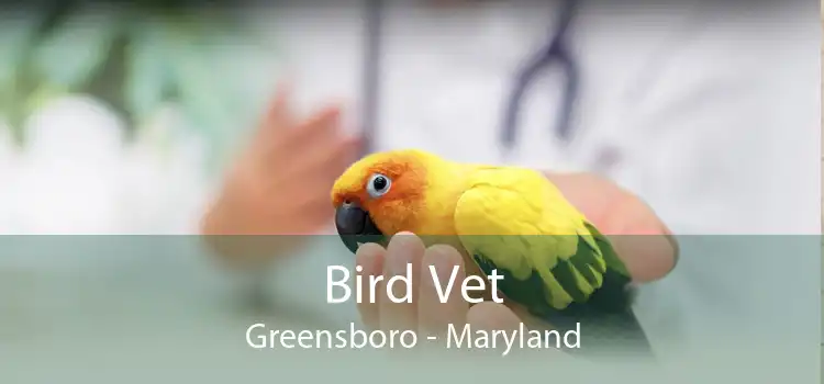 Bird Vet Greensboro - Maryland