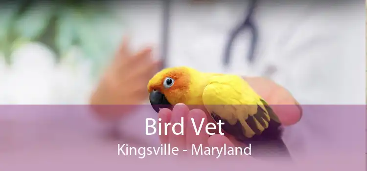 Bird Vet Kingsville - Maryland