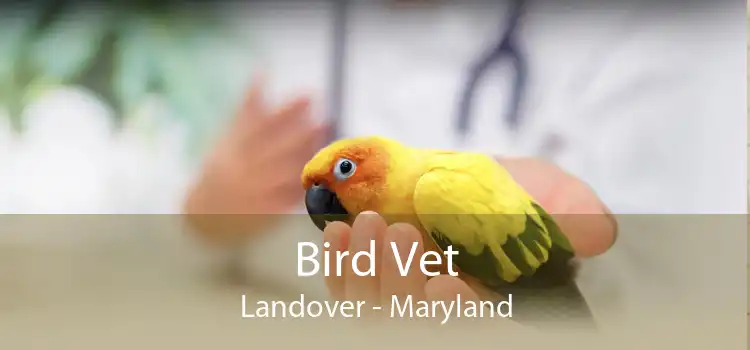 Bird Vet Landover - Maryland