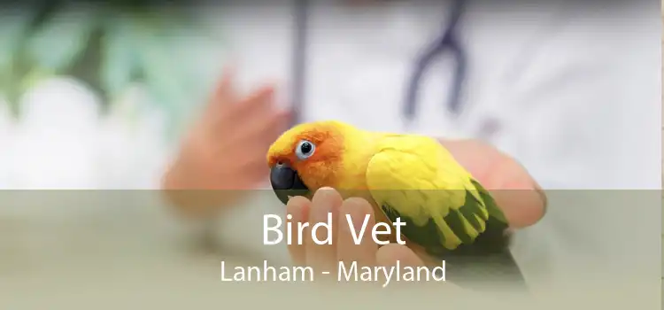 Bird Vet Lanham - Maryland
