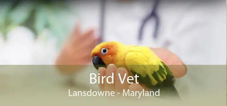 Bird Vet Lansdowne - Maryland