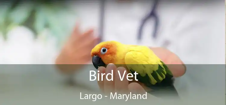 Bird Vet Largo - Maryland