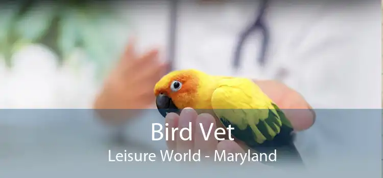 Bird Vet Leisure World - Maryland