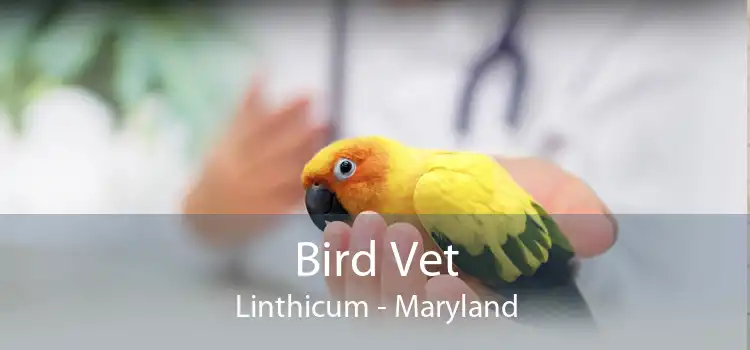 Bird Vet Linthicum - Maryland