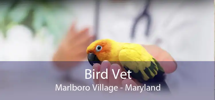 Bird Vet Marlboro Village - Maryland