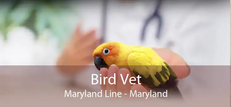 Bird Vet Maryland Line - Maryland