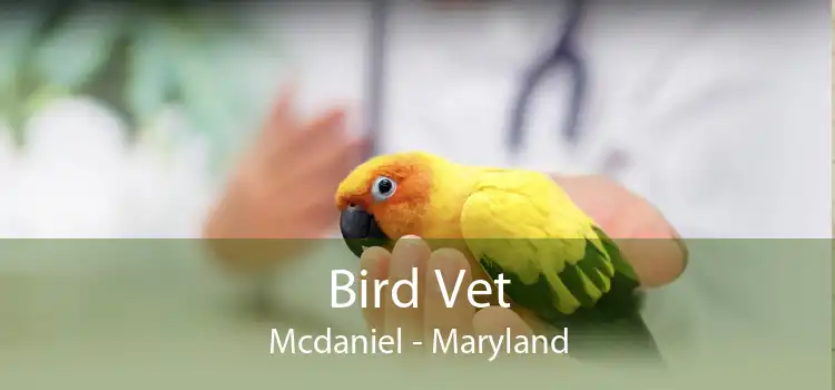 Bird Vet Mcdaniel - Maryland