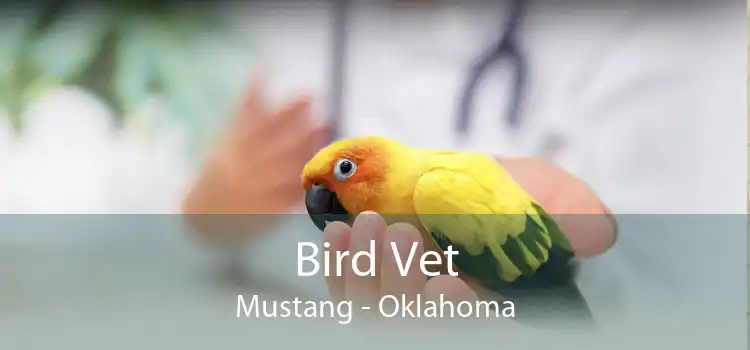 Bird Vet Mustang - Oklahoma