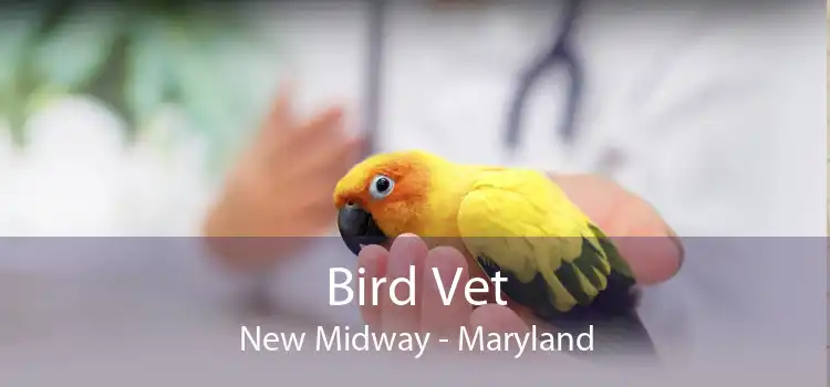 Bird Vet New Midway - Maryland