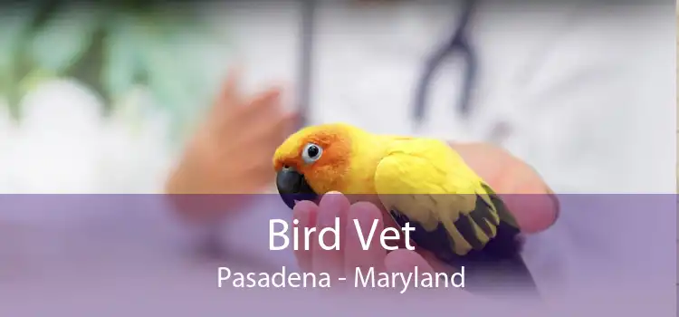 Bird Vet Pasadena - Maryland