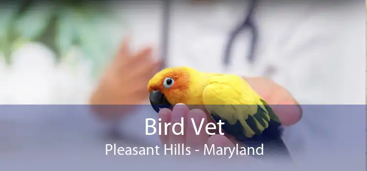 Bird Vet Pleasant Hills - Maryland