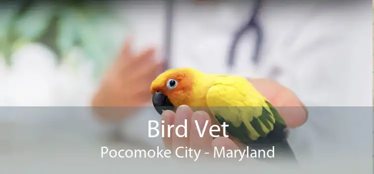 Bird Vet Pocomoke City - Maryland