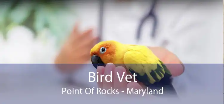 Bird Vet Point Of Rocks - Maryland