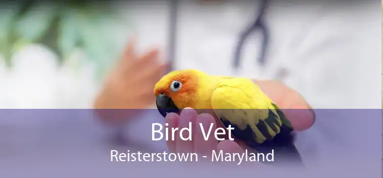 Bird Vet Reisterstown - Maryland