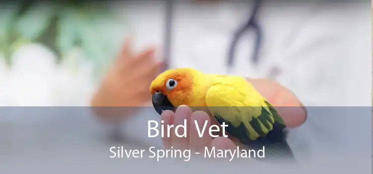 Bird Vet Silver Spring - Maryland
