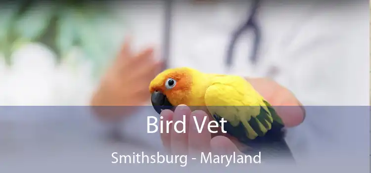 Bird Vet Smithsburg - Maryland