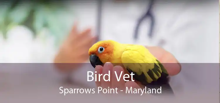 Bird Vet Sparrows Point - Maryland