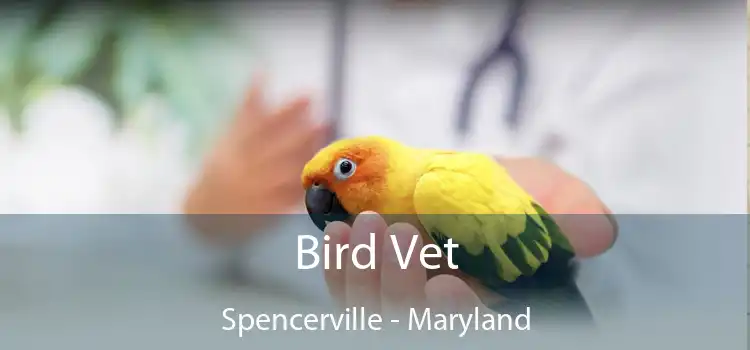 Bird Vet Spencerville - Maryland