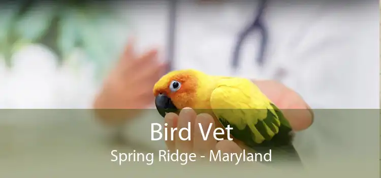Bird Vet Spring Ridge - Maryland