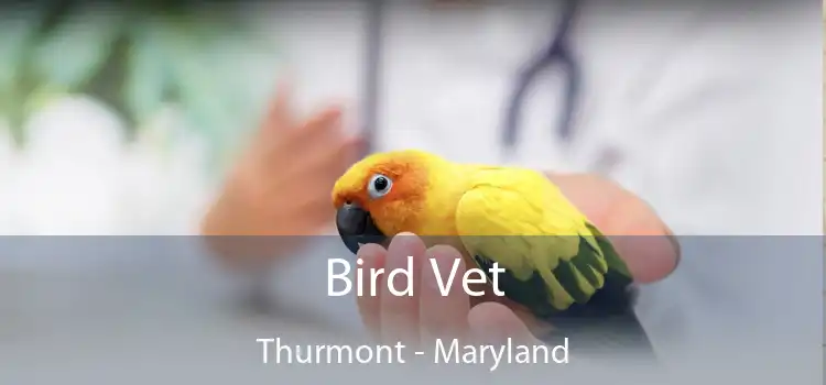 Bird Vet Thurmont - Maryland