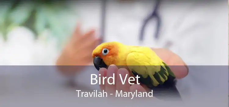 Bird Vet Travilah - Maryland