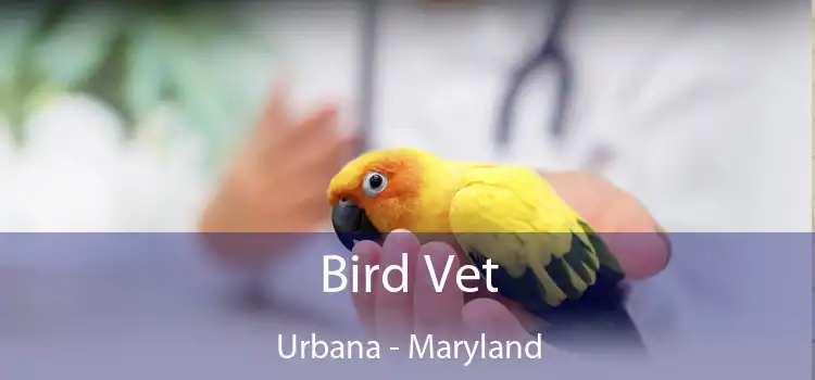 Bird Vet Urbana - Maryland