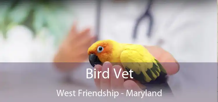 Bird Vet West Friendship - Maryland