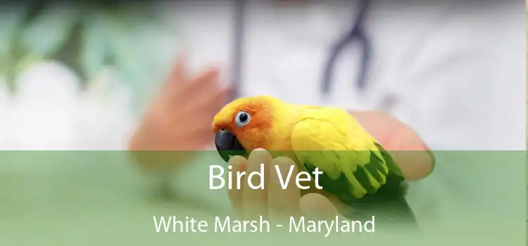Bird Vet White Marsh - Maryland