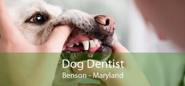 Dog Dentist Benson - Maryland