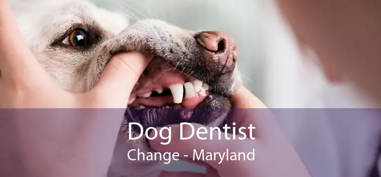 Dog Dentist Change - Maryland