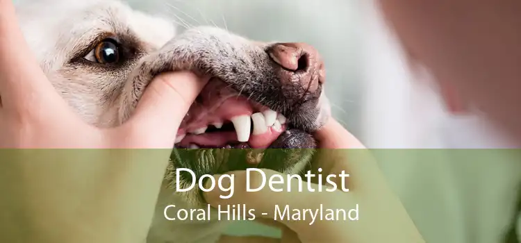 Dog Dentist Coral Hills - Maryland