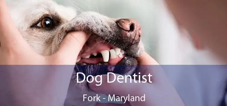 Dog Dentist Fork - Maryland