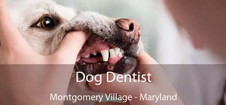 Dog Dentist Montgomery Village - Maryland
