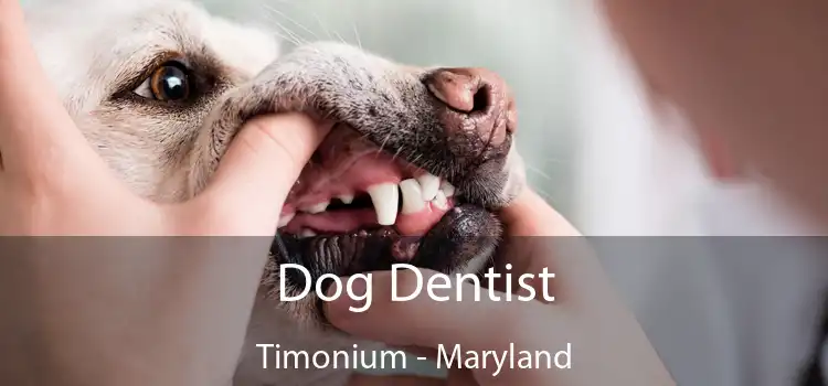 Dog Dentist Timonium - Maryland