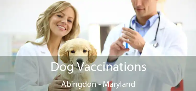 Dog Vaccinations Abingdon - Maryland