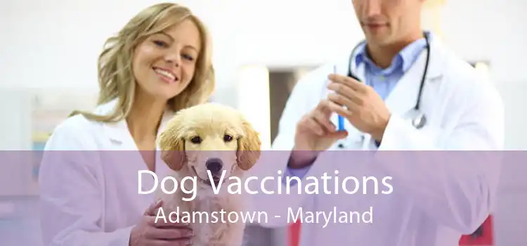 Dog Vaccinations Adamstown - Maryland