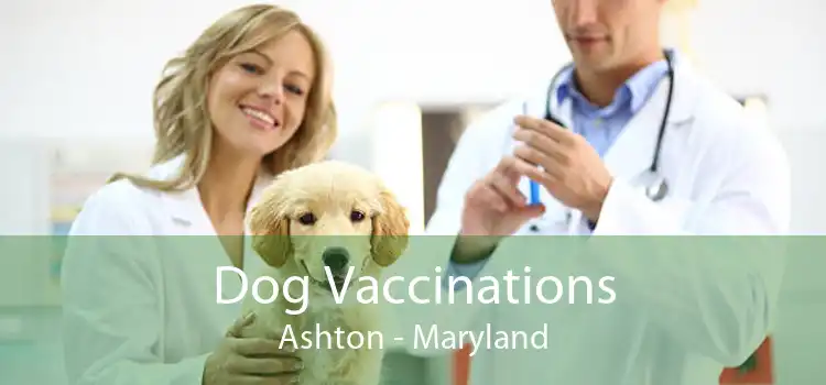 Dog Vaccinations Ashton - Maryland